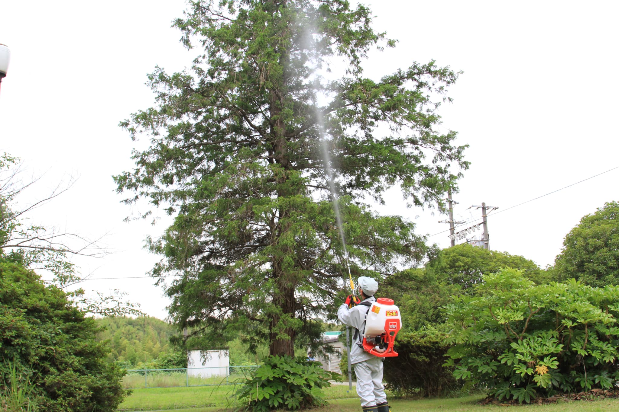 背負動力噴霧器｜有光工業株式会社