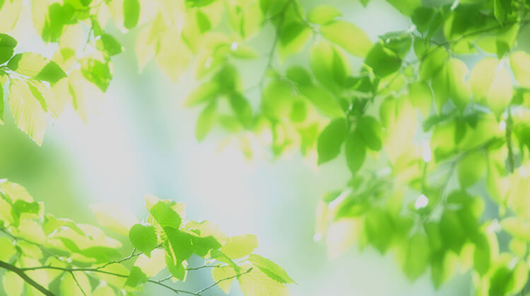 第118回国試情報 | 麻布デンタルアカデミー