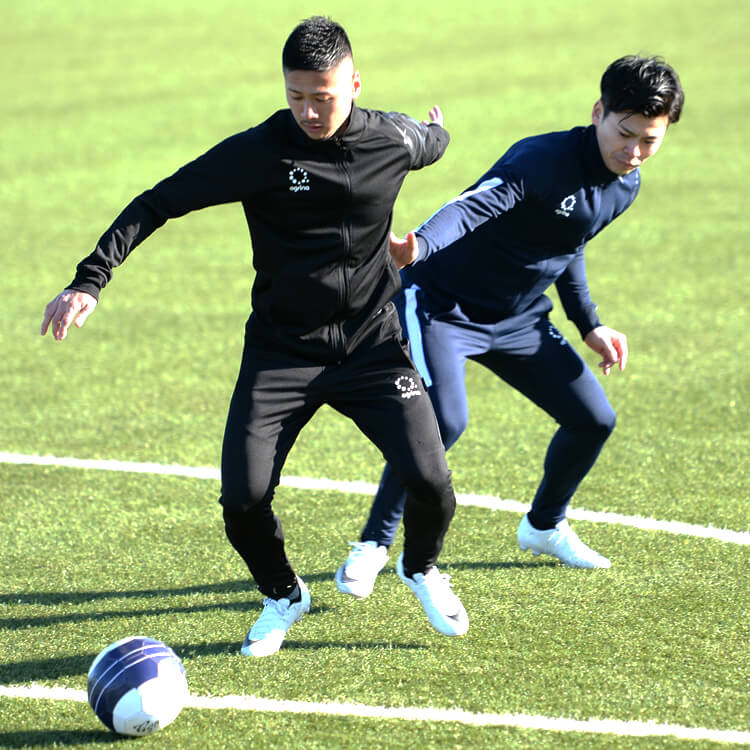 アグリナ 定番ジャージ上下セット｜ボアスコンプラス本店