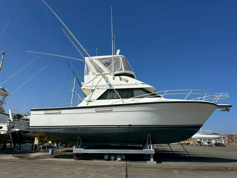 【UNKNOWN】ボディーボード【中古】