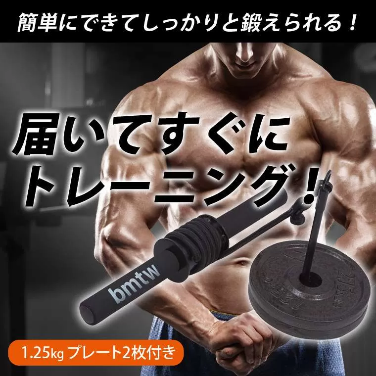リストローラー4 ハンマートーンプレート1．25kg 2枚付き