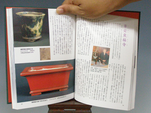 盆栽鉢陶芸観賞としての楽しさの本【盆栽誌24―3】 - 小品盆栽専門店