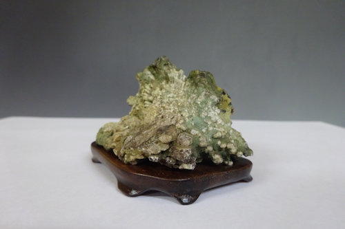 菊花石 (下仁田産) 【 水石 22 ― 04 】 - 小品盆栽専門店 湘風園