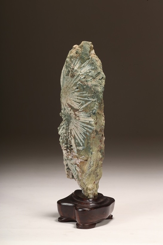 下仁田菊花石 銘「華美」 | 雨竹亭オンラインショップ