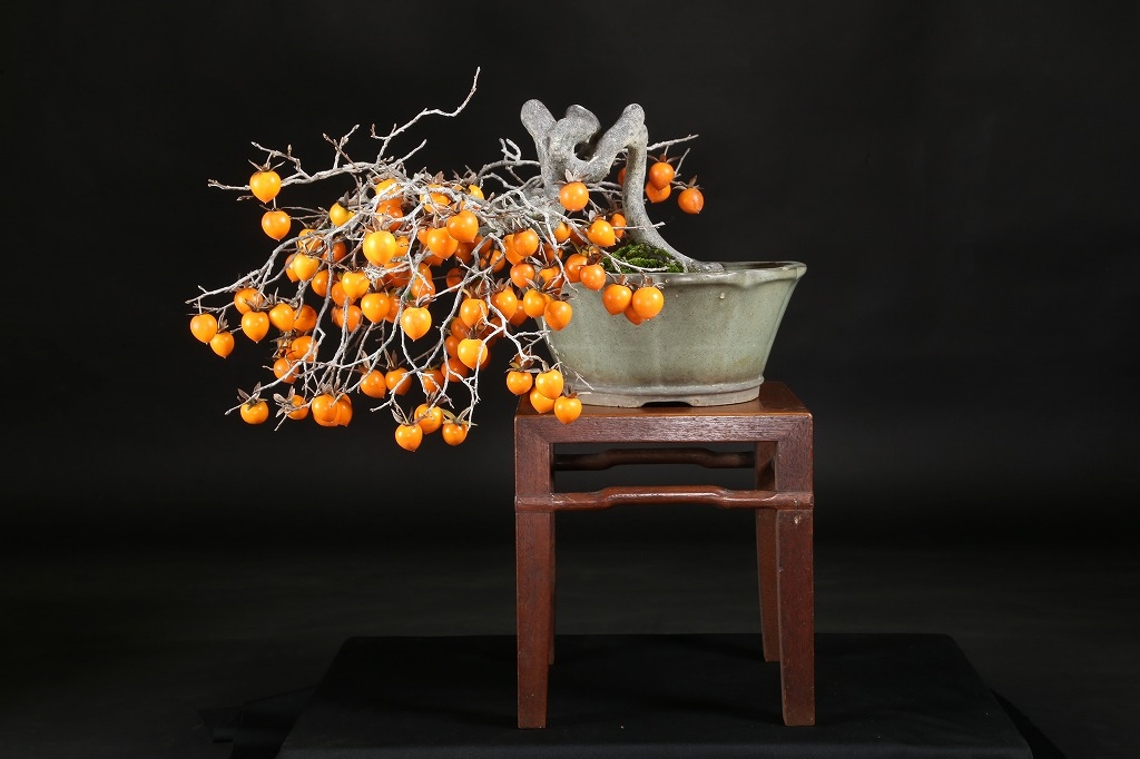 老爺柿 約50年 | 雨竹亭オンラインショップ