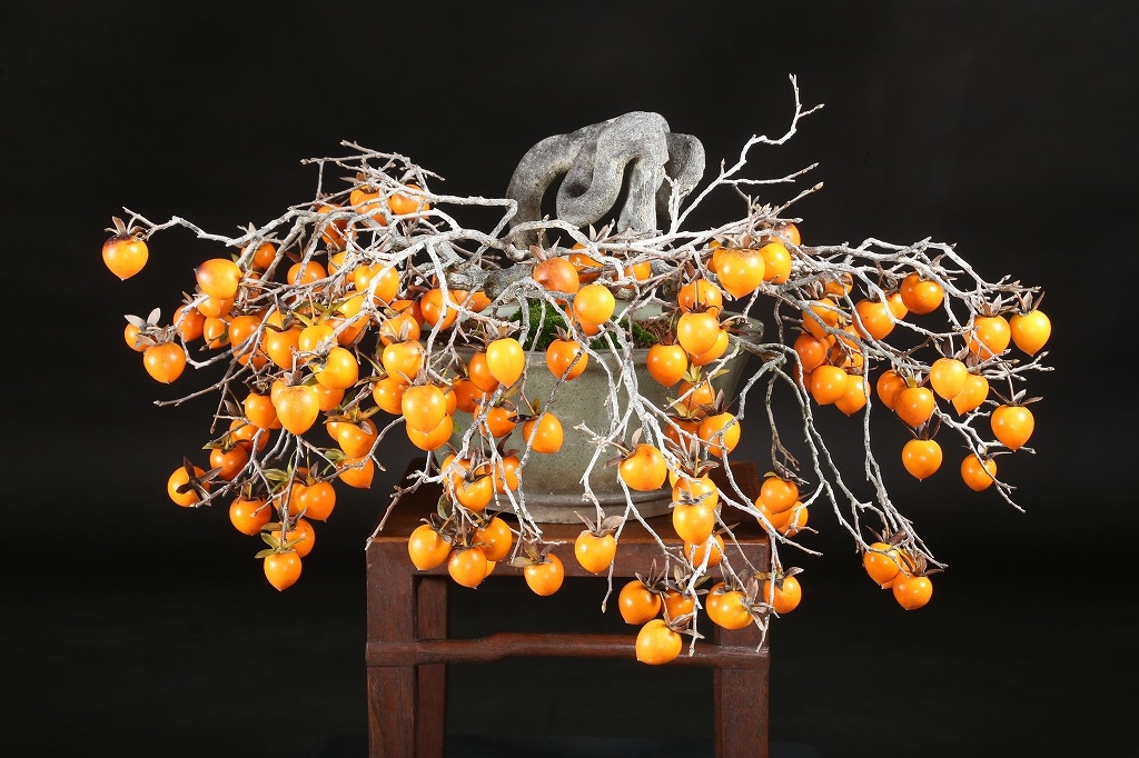 老爺柿 約50年 | 雨竹亭オンラインショップ