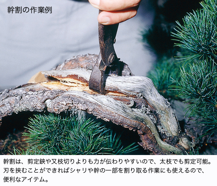 幹割 (大) | 盆栽、盆栽書籍、盆栽鉢の通販│近代出版