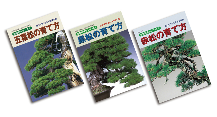 盆栽を代表する松盆栽 五葉松・黒松・赤松の育て方3冊セット | 盆栽