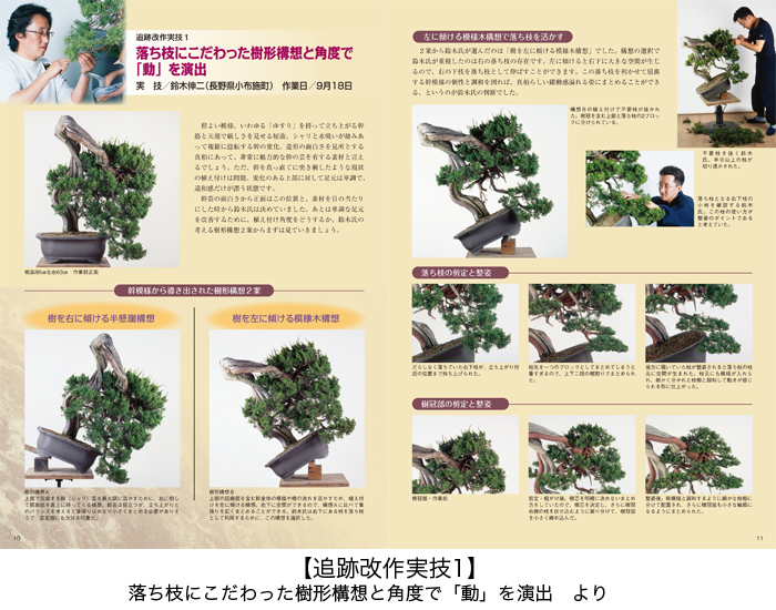 盆栽メジャー樹種 黒松・五葉松・真柏をとことん知る3冊セット | 盆栽