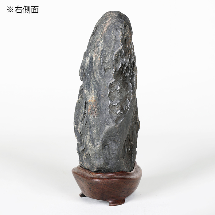 千仏石 | 盆栽、盆栽書籍、盆栽鉢の通販│近代出版