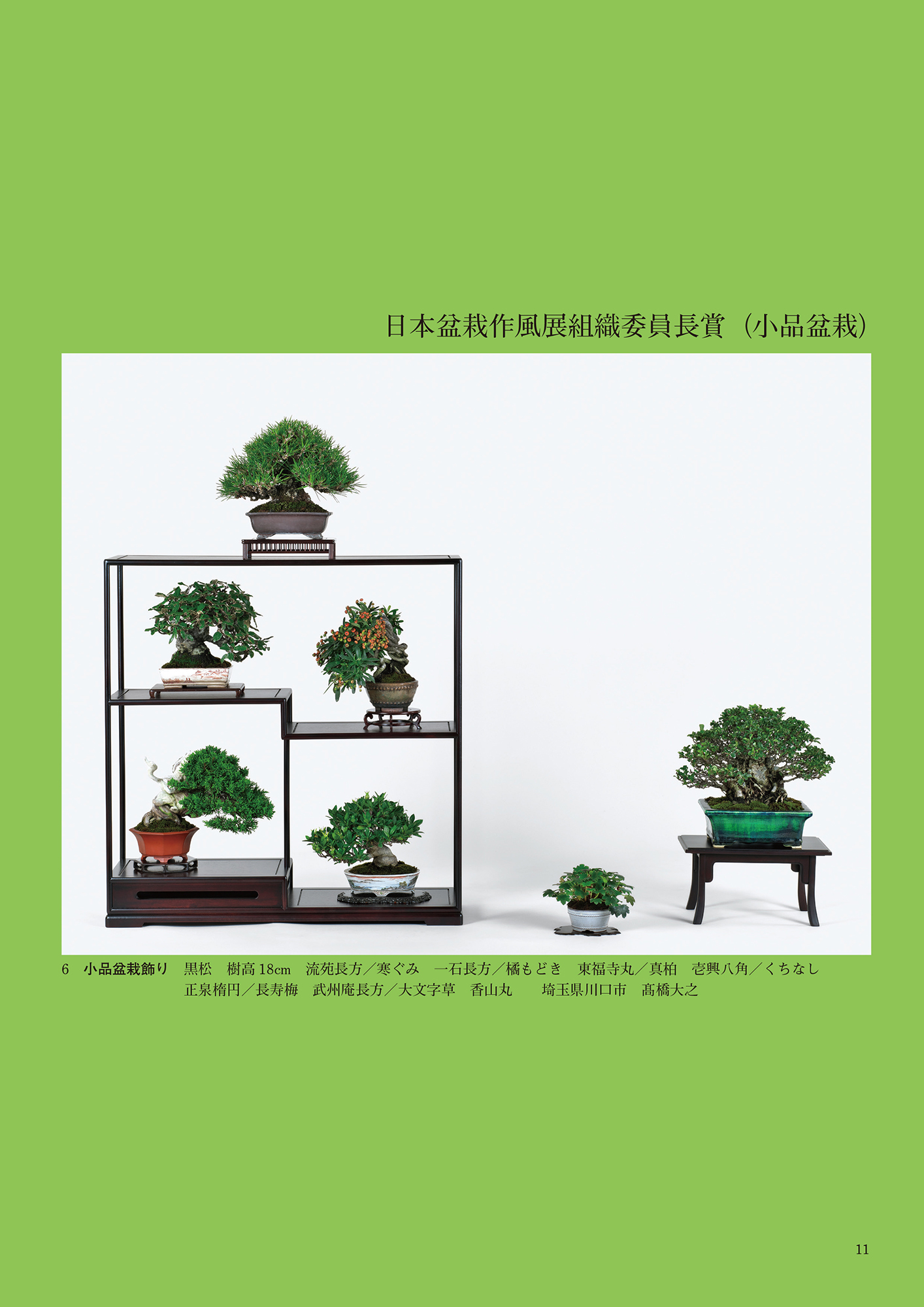 第49回 日本盆栽作風展 記念帖 | 盆栽、盆栽書籍、盆栽鉢の通販│近代出版