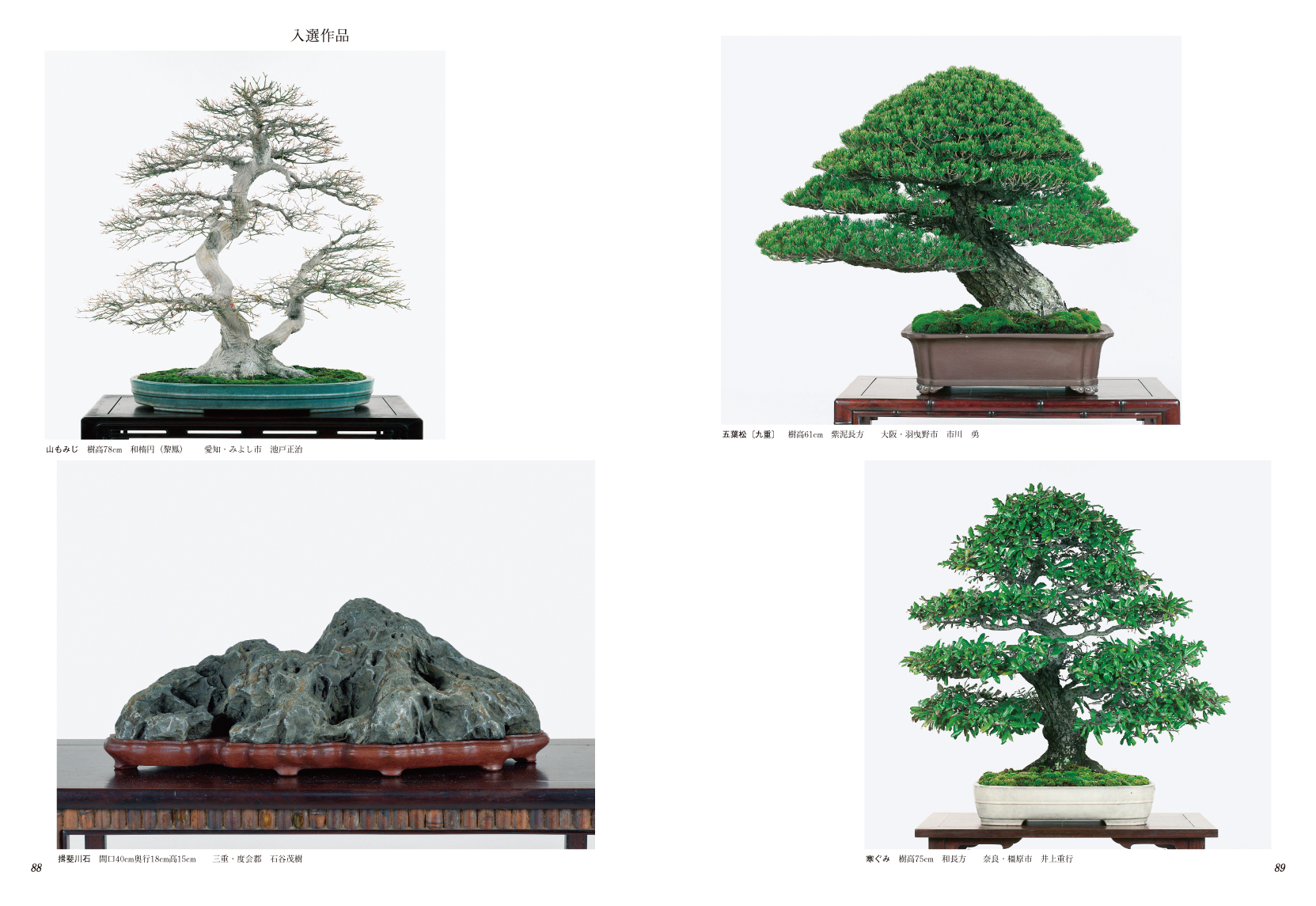 第38回 日本盆栽大観展 記念帖 | 盆栽、盆栽書籍、盆栽鉢の通販│近代出版