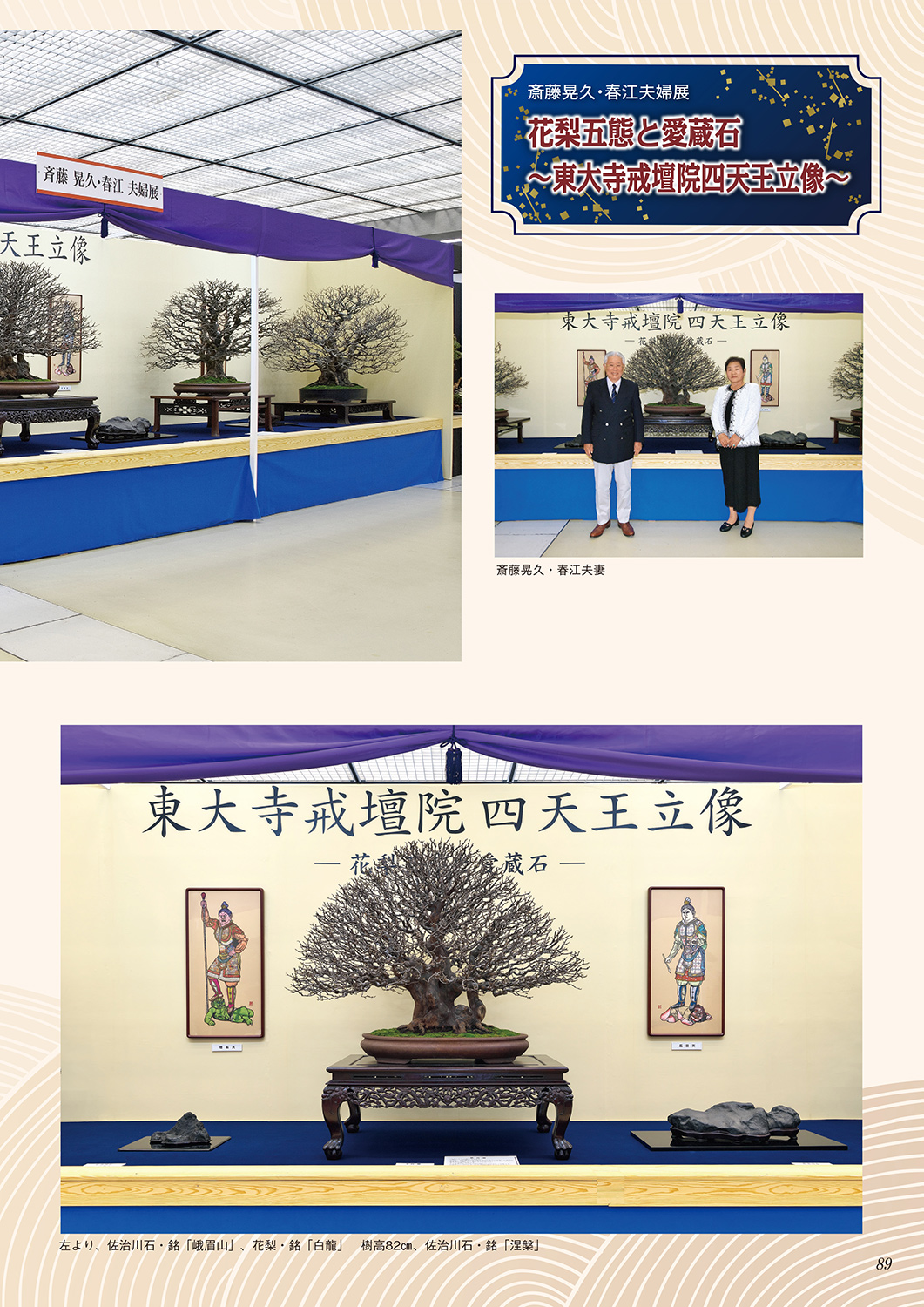 第42回 日本盆栽大観展 記念帖 | 盆栽、盆栽書籍、盆栽鉢の通販│近代出版