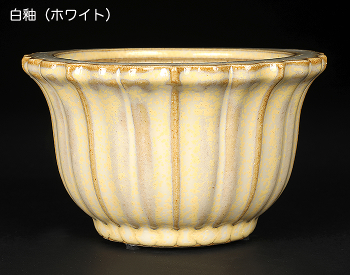 広東古鏡型鉢〔石峰雨竹〕 | 盆栽、盆栽書籍、盆栽鉢の通販│近代出版