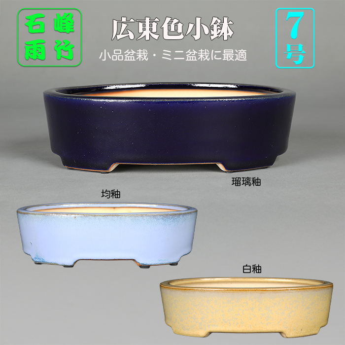 石峰雨竹製 | 盆栽、盆栽書籍、盆栽鉢の通販│近代出版