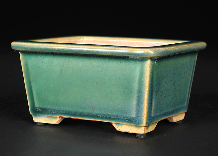 広東額面長方鉢〔石峰雨竹〕 | 盆栽、盆栽書籍、盆栽鉢の通販│近代出版