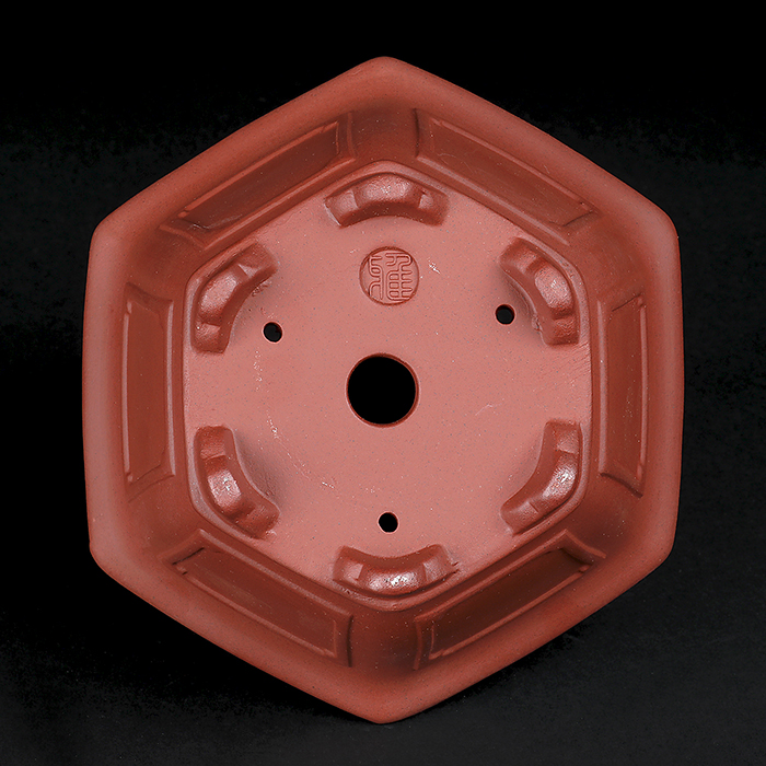 紫泥外縁額面六角鉢 | 盆栽、盆栽書籍、盆栽鉢の通販│近代出版