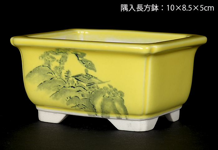 瀬戸焼文山窯色絵鉢4点セット（黄） | 盆栽、盆栽書籍、盆栽鉢の通販