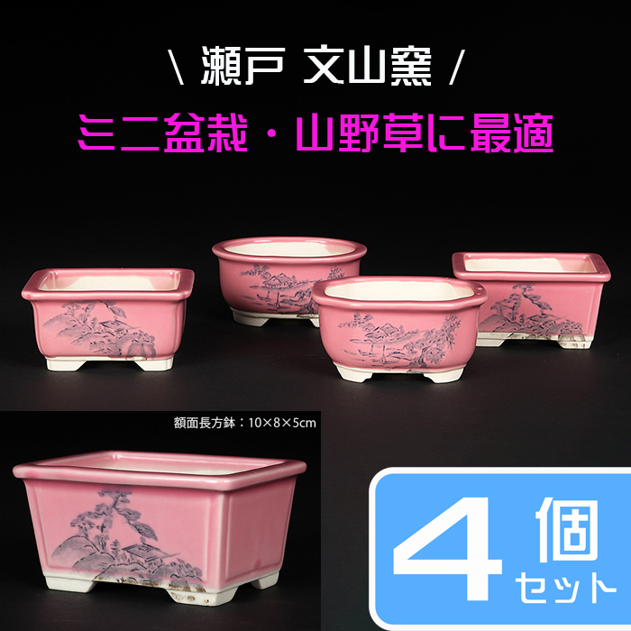 瀬戸焼文山窯色絵鉢4点セット（桃） | 盆栽、盆栽書籍、盆栽鉢の通販