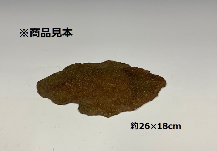 鞍馬風平石 1枚 | 盆栽、盆栽書籍、盆栽鉢の通販│近代出版