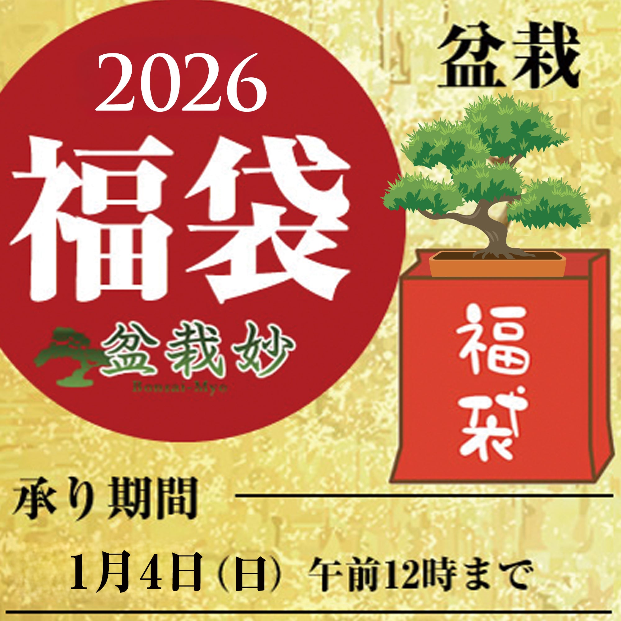 盆栽の福袋を販売｜盆栽妙 – 盆栽妙 本店