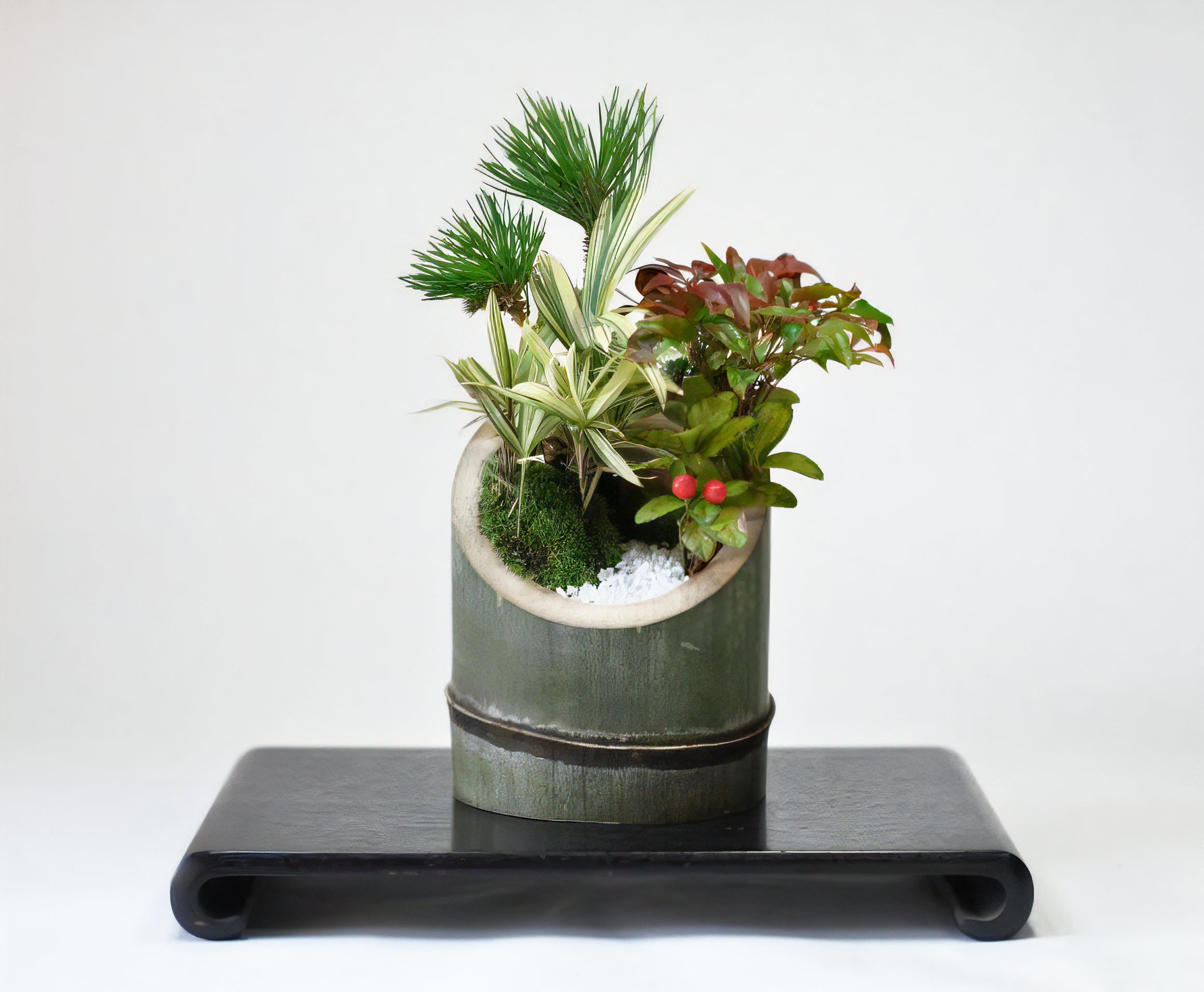 門松風寄せ植えの盆栽の販売｜盆栽妙 – 盆栽妙 本店