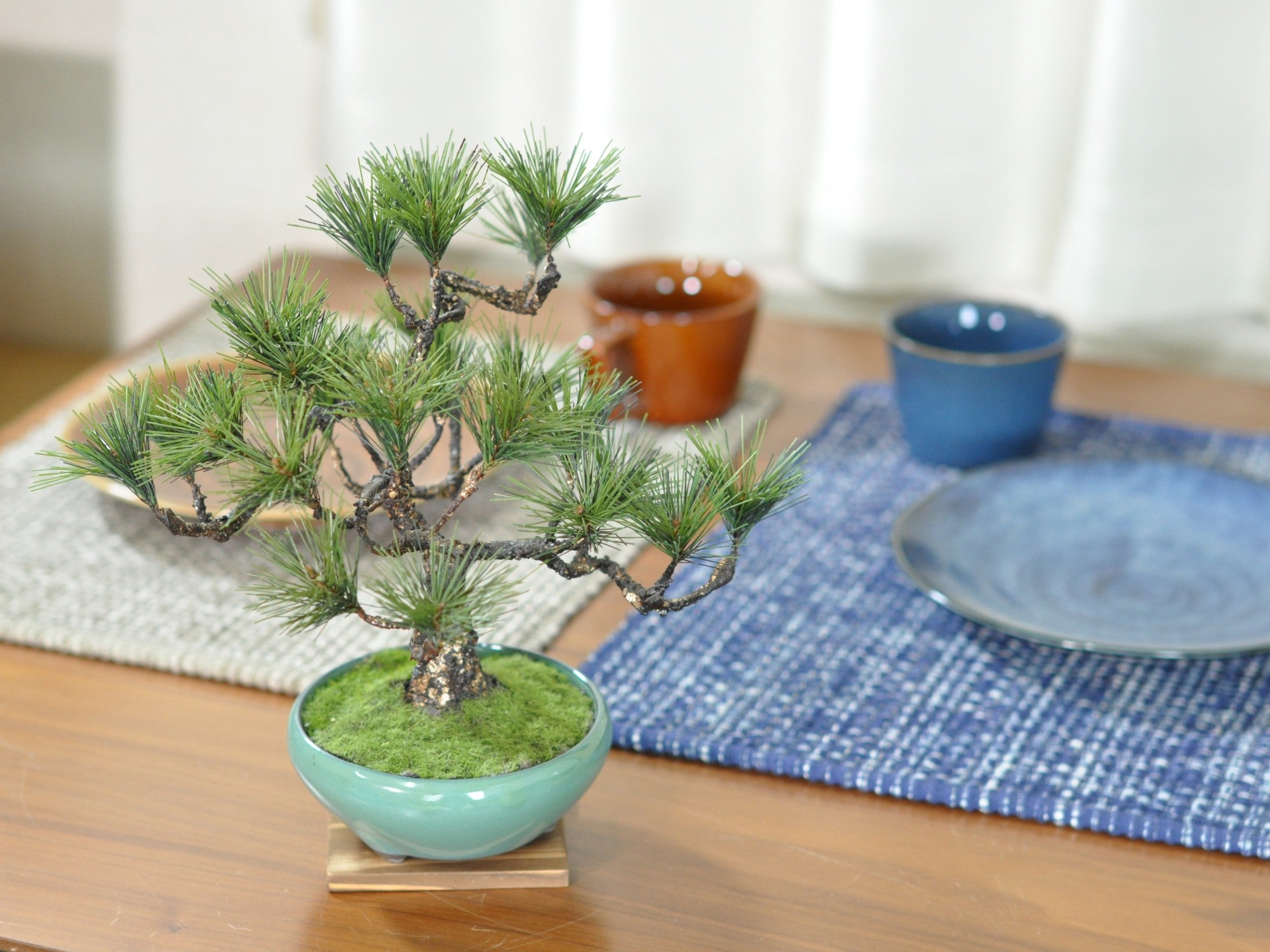 造花盆栽 松 中サイズの販売｜盆栽妙 – 盆栽妙 本店