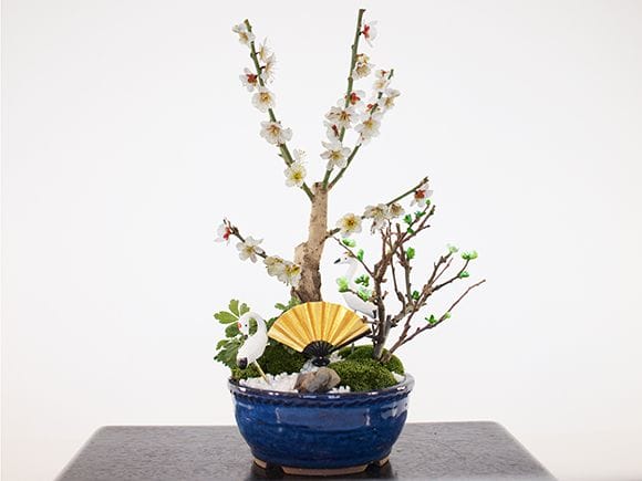 梅づくし 寄せ植え 5号の盆栽を販売｜盆栽妙 – 盆栽妙 本店