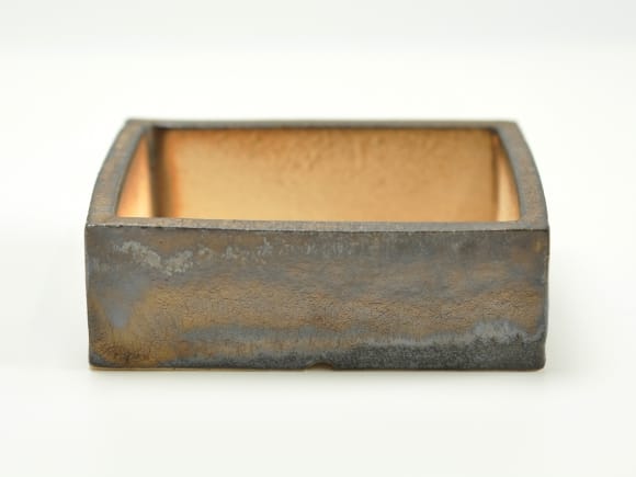 金彩 長方形【4号】【山野草鉢】鉢幅約12cm×奥行約10cm×高さ約4cmを