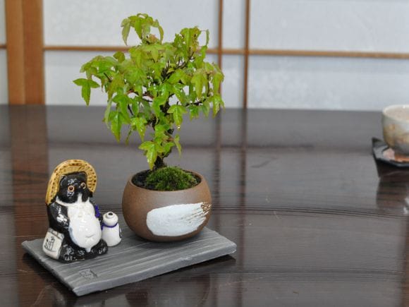 讃岐瓦 花台 四角の盆栽を販売｜盆栽妙 – 盆栽妙 本店