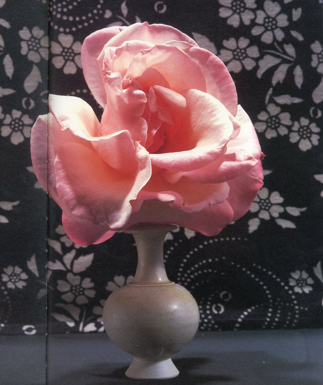 魔の山 中川幸夫作品集 / 中川幸夫 | 小宮山書店 KOMIYAMA TOKYO