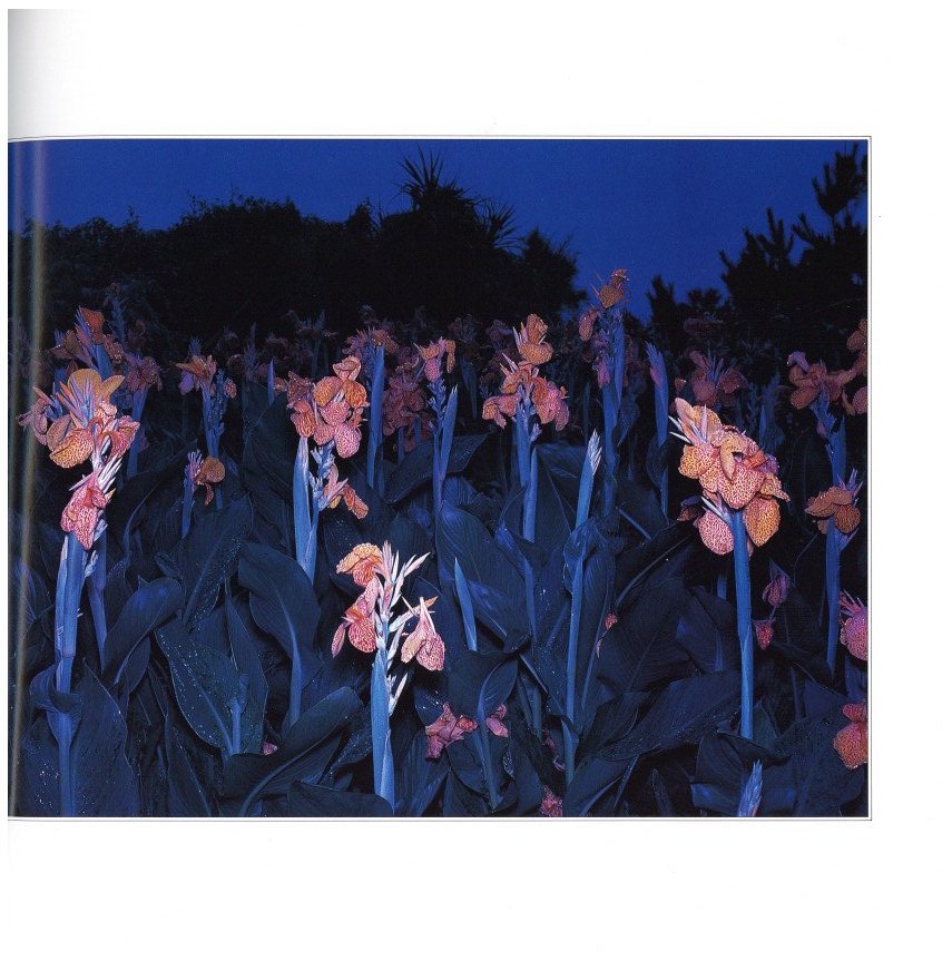 花狩 山村雅昭写真集 / 著：山村雅昭 | 小宮山書店 KOMIYAMA TOKYO