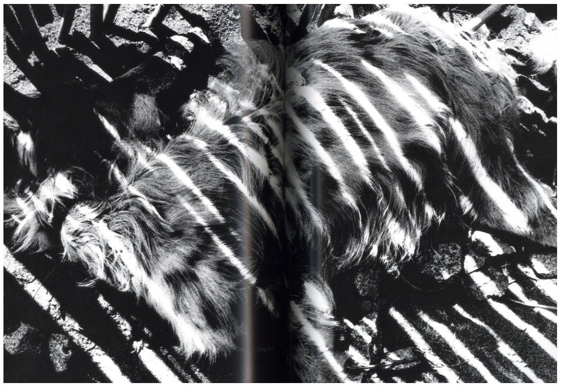 光と影 / 森山大道 | 小宮山書店 KOMIYAMA TOKYO | 神保町 古書・美術