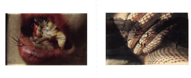 e hagaki / Author: Emi Anrakuji | 小宮山書店 KOMIYAMA TOKYO