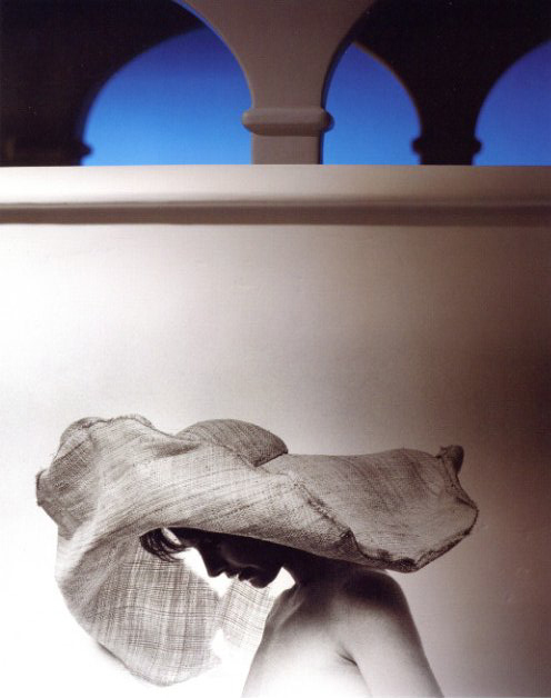 FASHION ETCETERA Special edition / Sam Haskins | 小宮山書店