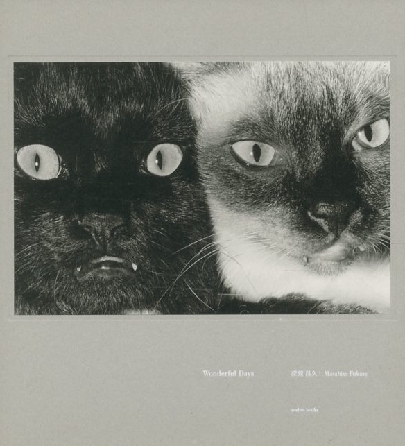 Wonderful Days / 写真：深瀬昌久 編集人：大田通貴 | 小宮山書店