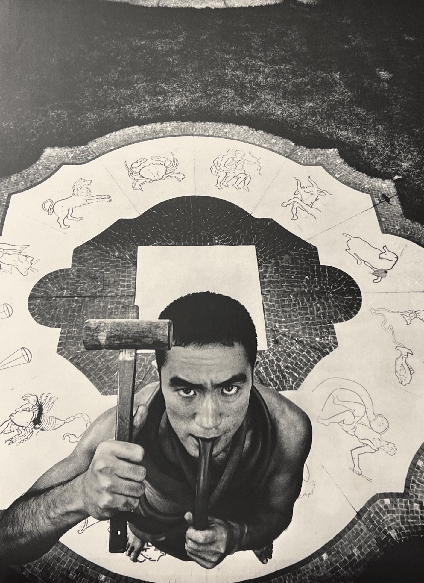 新輯版 薔薇刑 / 被写体・題簽・序文：三島由紀夫 写真：細江英公 装幀