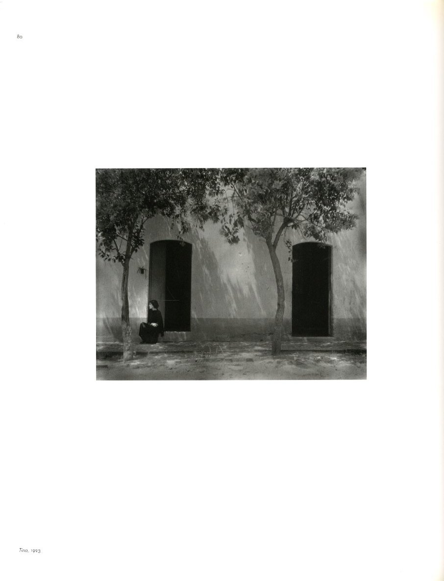 Forms of Passion Passion of Forms / Edward Weston | 小宮山書店