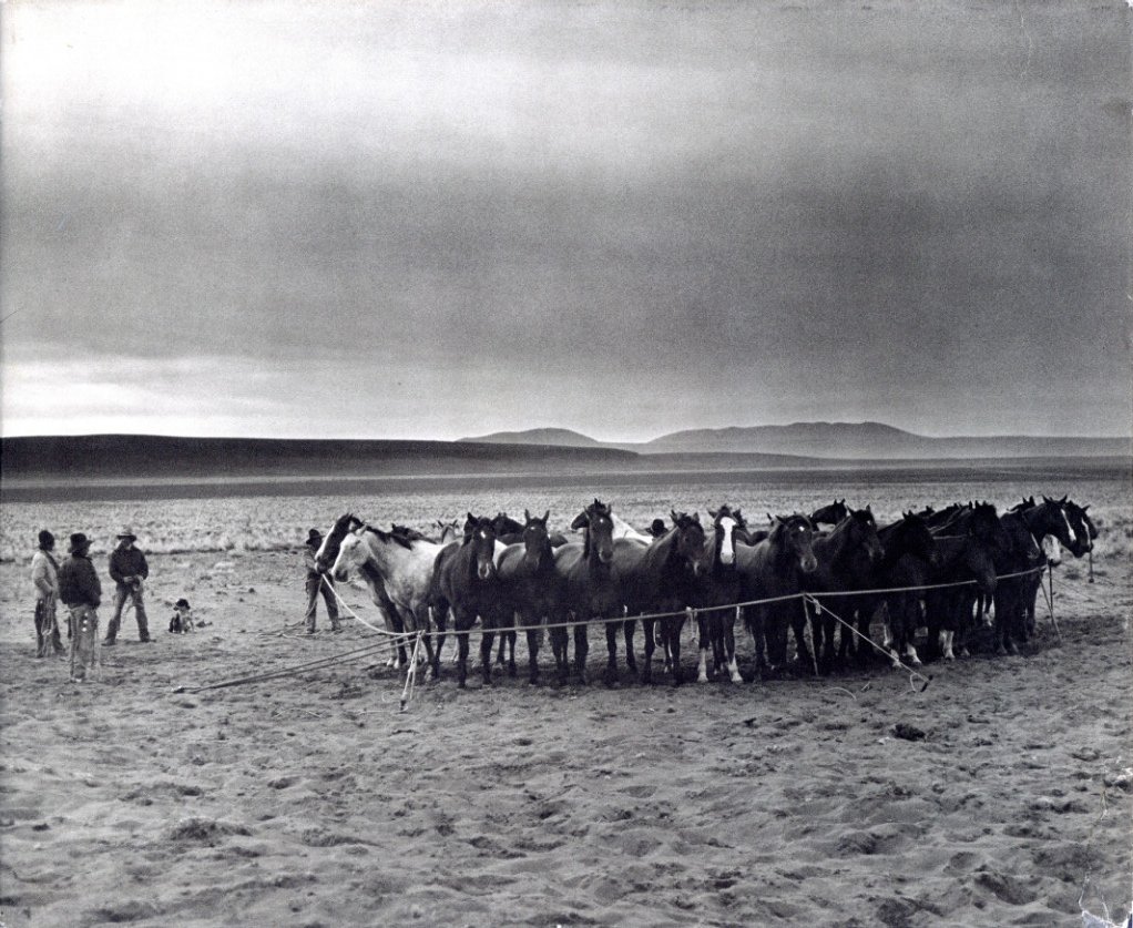 After Barbed Wire: Cowboys of Our Time / Photo: Kurt Markus