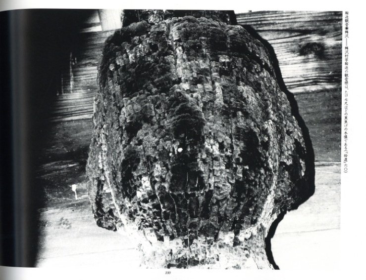 内藤正敏写真集 遠野物語 / 内藤正敏 | 小宮山書店 KOMIYAMA TOKYO