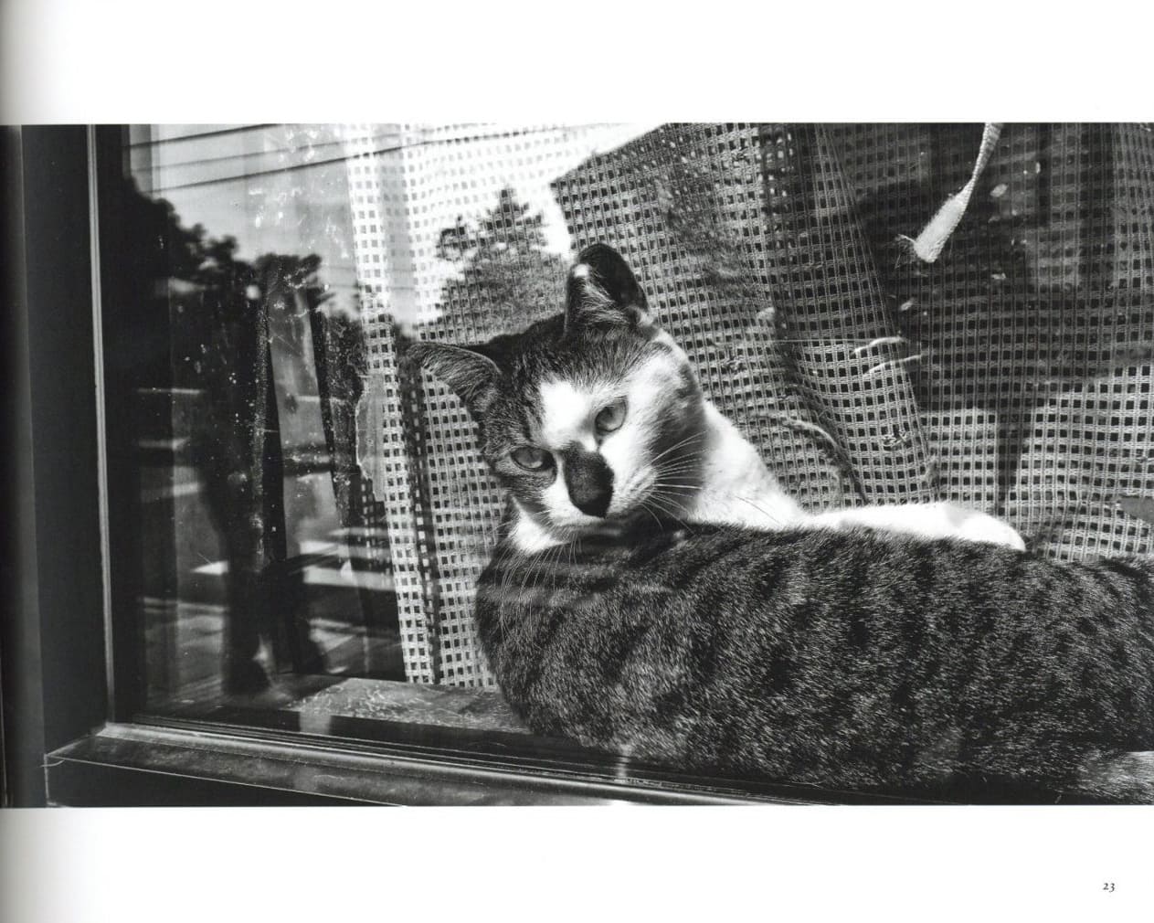 遠野2014 / 森山大道 | 小宮山書店 KOMIYAMA TOKYO | 神保町 古書