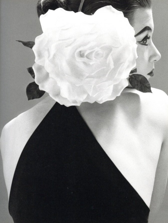 AVEDON FASHION 1944-2000 / Richard Avedon | 小宮山書店 KOMIYAMA