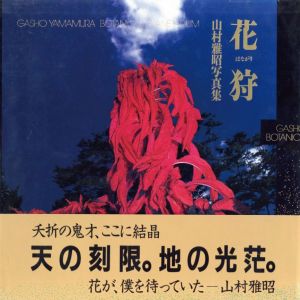 奈良原一高写真集 ヴェネツィアの夜 / 奈良原一高 | 小宮山書店