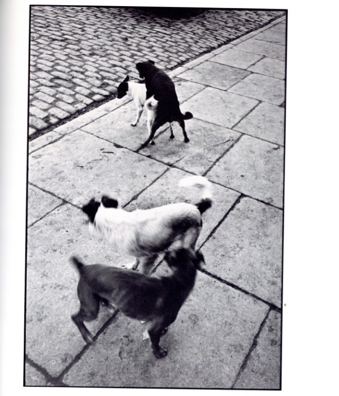 写真家 アンリ・カルティエ＝ブレッソン / アンリ・カルティエ