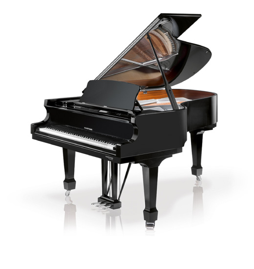 WH 162 P - ベヒシュタインジャパン公式サイト