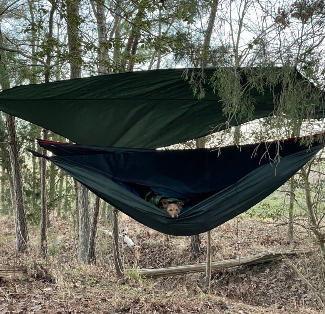 ヘネシーハンモック」で冬のハンモックキャンプ、－2度Cの夜に耐え