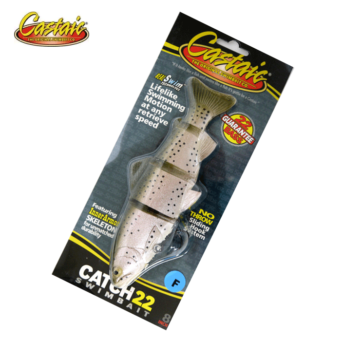 在庫限りの特別価格】キャスティーク キャッチ22スイムベイト 8inch