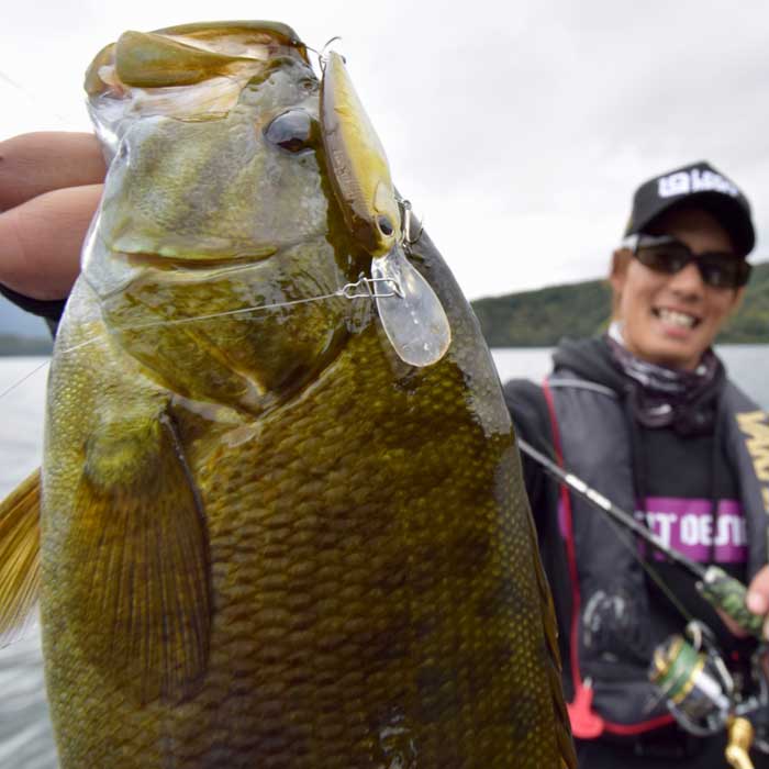 レジットデザイン ワイルドサイド WSS 64ML キャロシャッド - 【バス