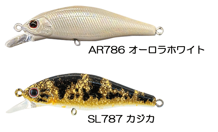 パームス アレキサンドラ 限定カラー 8個セット PALMS パームス