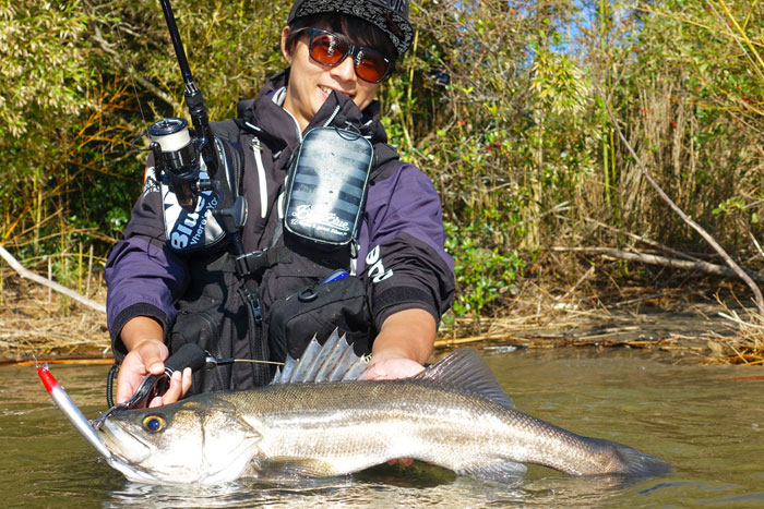 Blue Blue Valval 99 jerking edition BlueBlue - 【Bass Trout Salt